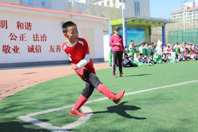 导演张黎的情感悲剧：五次婚姻与孤独晚年